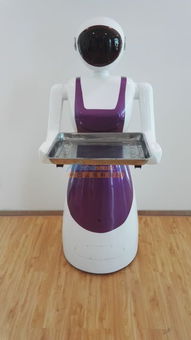 智能科技崛起 陜西機(jī)器人與寧夏銀川市場(chǎng)熱潮解析